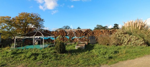 2 bedrooms House in Loir-et-Cher, France No. 85816 8