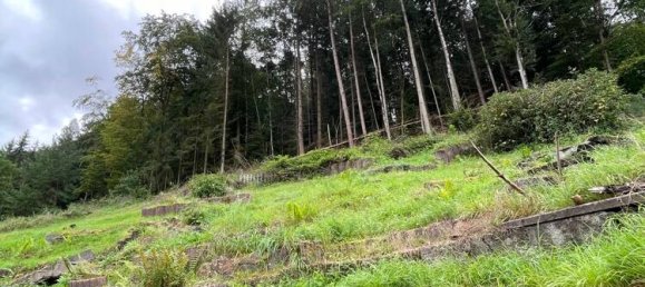 6-Zimmer Haus in Kaiserslautern, Germany, Nr. 155239 14