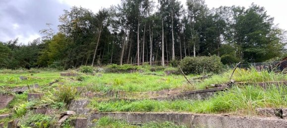 6-Zimmer Haus in Kaiserslautern, Germany, Nr. 155239 13