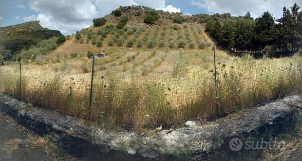 16346m² Land in Codrongianos, Italy No. 251812