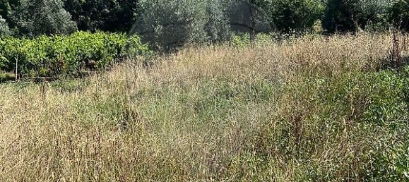 1 bedroom Castles in Macas de Dona Maria, Portugal No. 35465 3