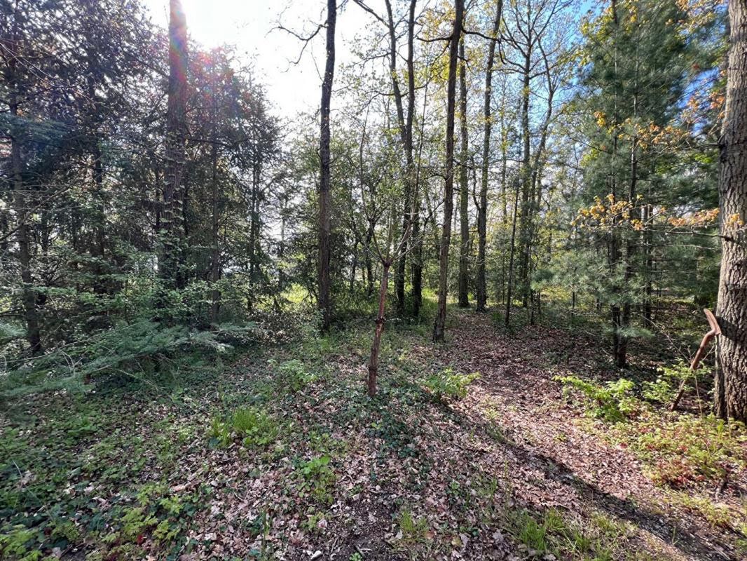  قطعة أرض في Saint-Denis-en-Val, France 1376متر مربع رقم 265510