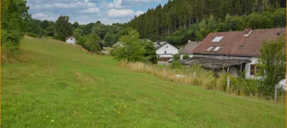 4 bedrooms Farm in Vulkaneifel, Germany No. 206470 3