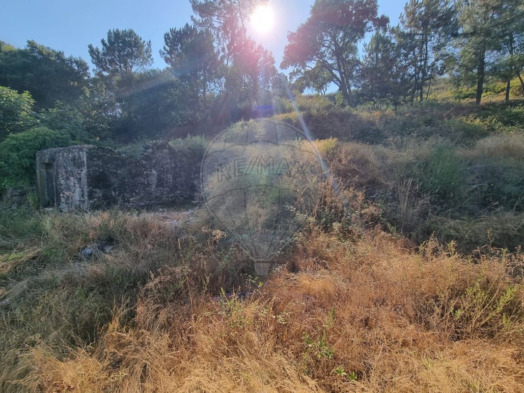 3 bedrooms House in Geme, Portugal No. 175489