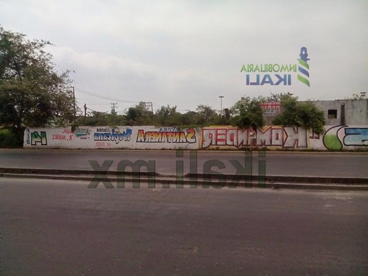  Land in Veracruz, Mexico No. 207151