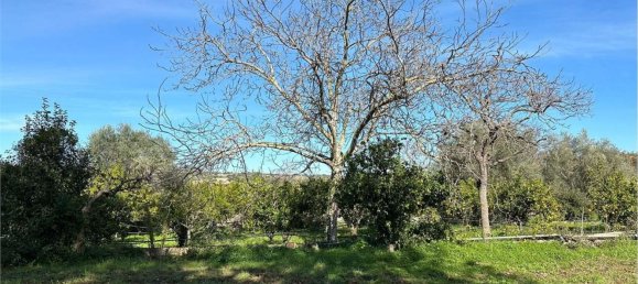 Apartamento de 8 habitaciónes en Canicattini Bagni, Italy No. 122431 29