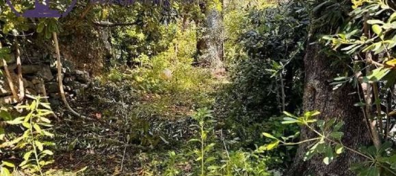 1 bedroom Apartment in Bordighera, Italy No. 270168 15