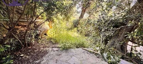 1 bedroom Apartment in Bordighera, Italy No. 270168 14