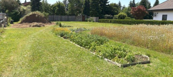 Terreno em Gunskirchen, Austria N.º 206456 2