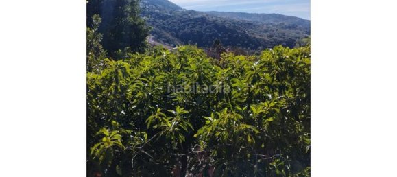 3 Schlafzimmer Haus in Alcaucin, Spain, Nr. 144833 19