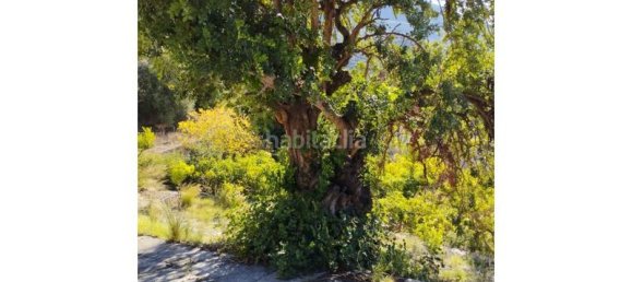 3 Schlafzimmer Haus in Alcaucin, Spain, Nr. 144833 18