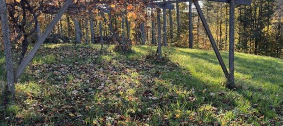 Земельный участок в Бад Лойперсдорф, Австрия № 83473 4