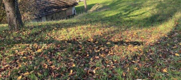 Земельный участок в Бад Лойперсдорф, Австрия № 83473 5