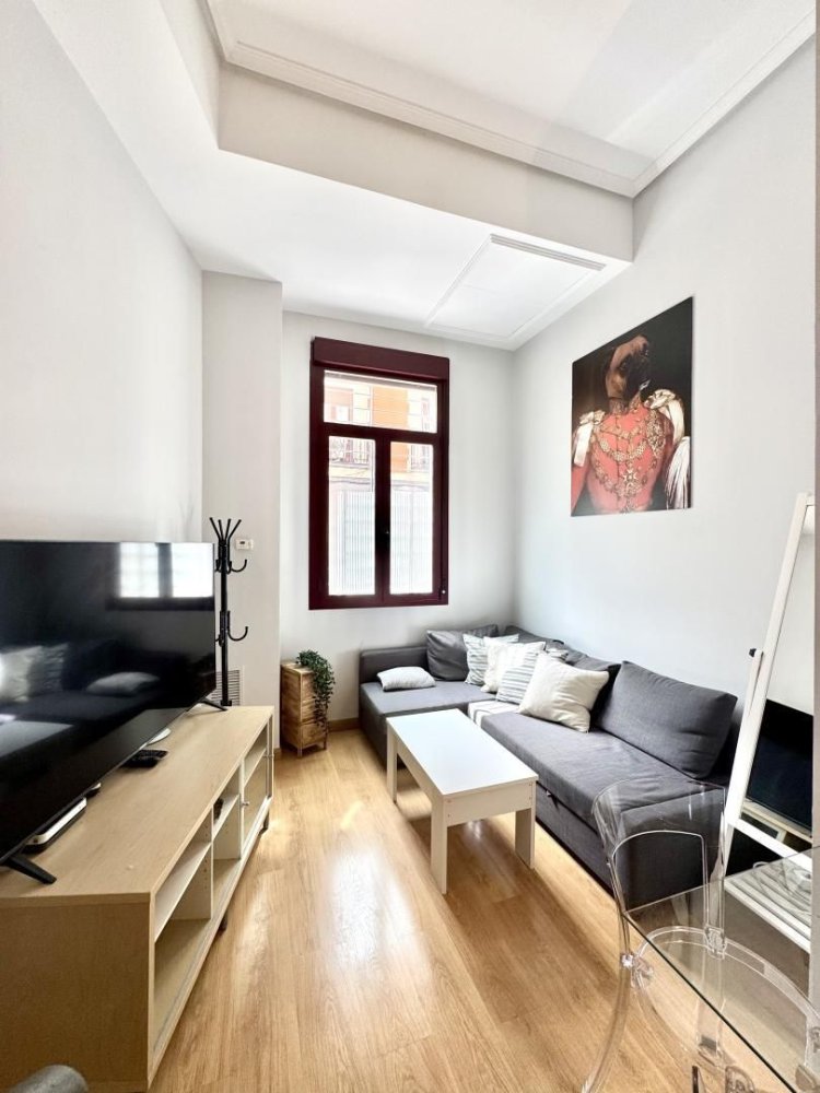 1 Schlafzimmer Doppelhaus in Madrid, Spain, Nr. 244870