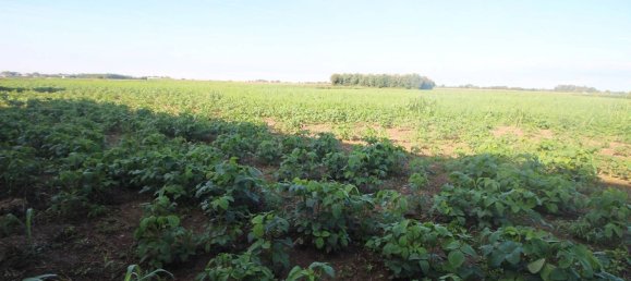 1000m² Warehouse in Lazzate, Italy No. 359784 5