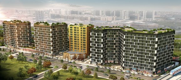 Estudio en Istanbul, Turkey No. 32077 2