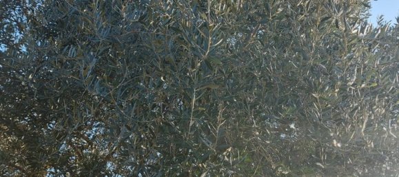 Casa de 7 habitaciónes en Borgonovo Val Tidone, Italy No. 162632 36