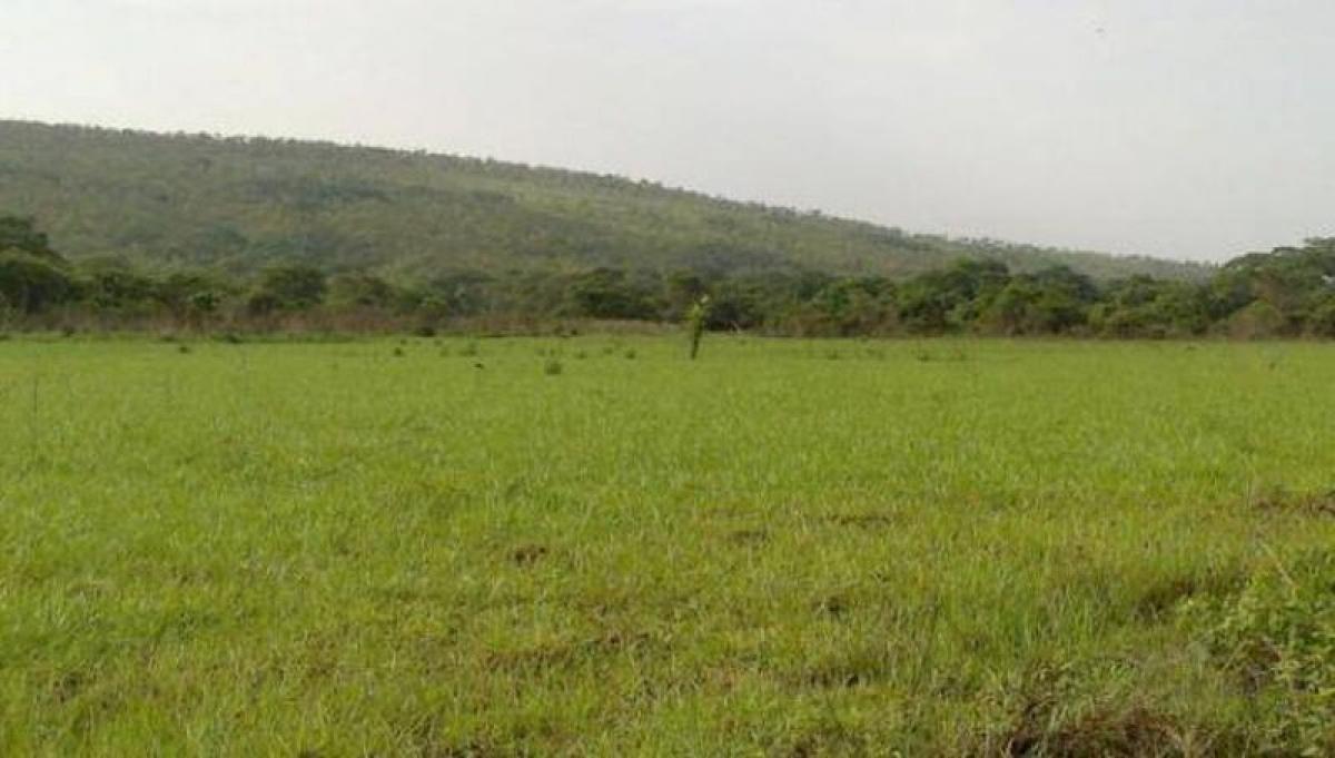  Land in Maule, Chile No. 643