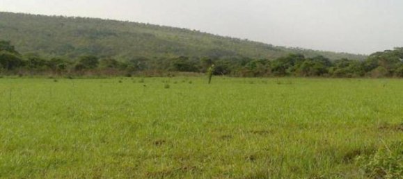  Land in Maule, Chile No. 643 2