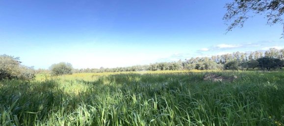 Квартира с 5 спальнями в Ористано, Италия № 60338 17