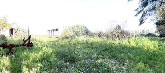 Квартира с 5 спальнями в Ористано, Италия № 60338 3