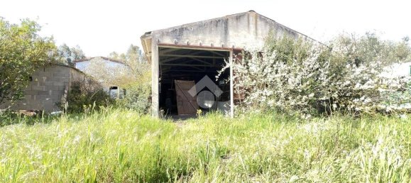 Квартира с 5 спальнями в Ористано, Италия № 60338 5