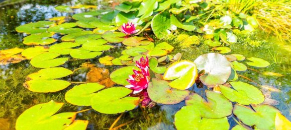 1 chambre Maison à Teltow-Flaming, Germany No. 335608 6