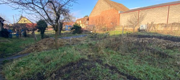 5 Schlafzimmer Villa in Baldenheim, France, Nr. 245910 4