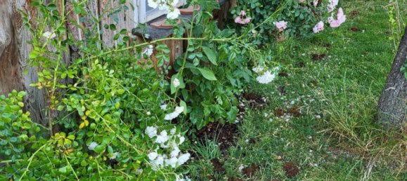 9غرفة منزل في Ostermiething, Austria رقم 255670 9