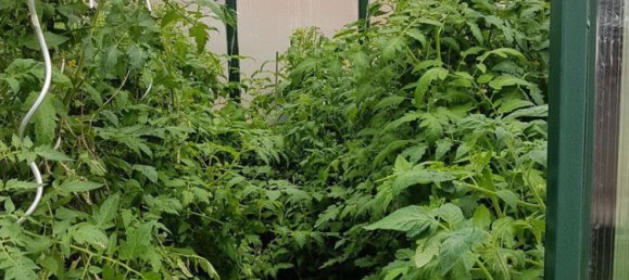 9غرفة منزل في Ostermiething, Austria رقم 255670 20