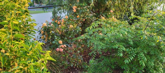 9غرفة منزل في Ostermiething, Austria رقم 255670 10