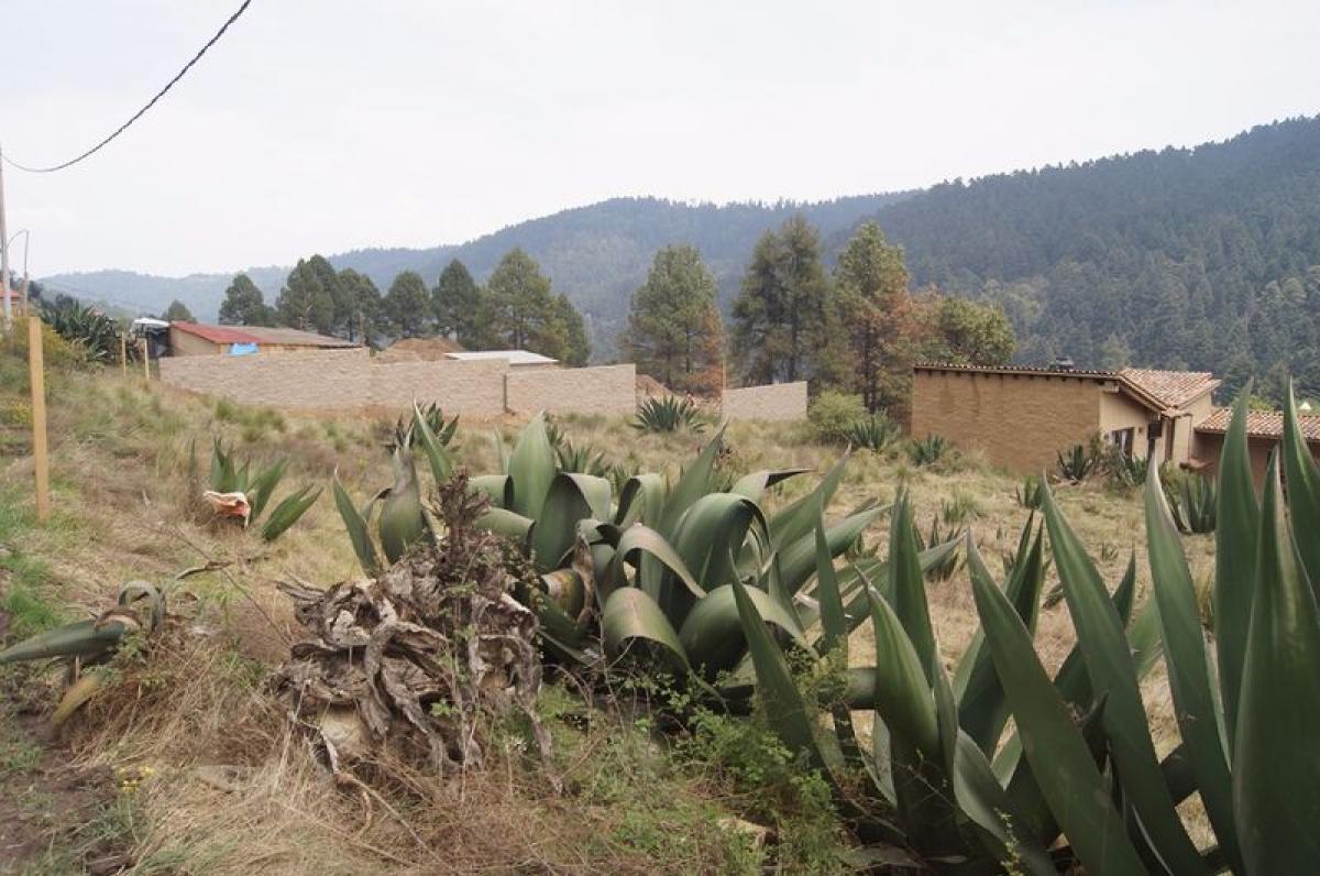 Grundstück in Lerma, Mexico, Nr. 206494