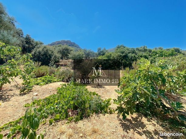 Grundstück in Calenzana, France 907m², Nr. 302848