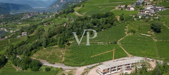 3-salle Maison à Trentino-Alto Adige, Italy No. 31202 4