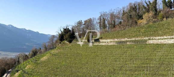 3-salle Maison à Trentino-Alto Adige, Italy No. 31202 11