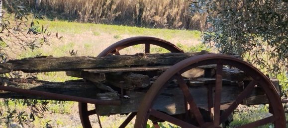 11غرفة منزل في Castellina Marittima, Italy رقم 126628 31