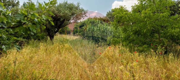 2 Schlafzimmer Haus in Abiul, Portugal, Nr. 26269 33