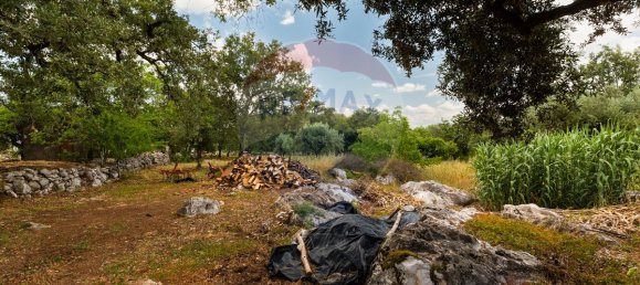 2 Schlafzimmer Haus in Abiul, Portugal, Nr. 26269 25