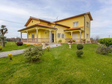 4 bedrooms House in Santa Comba Dao, Portugal No. 176907