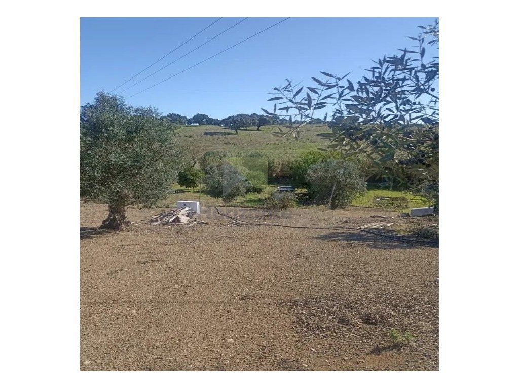  قطعة أرض في Cabrela, Portugal 5720متر مربع رقم 342340