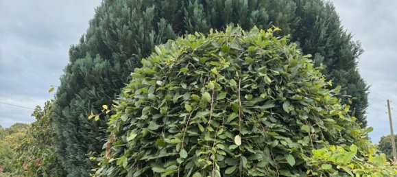 Grundstück in Bremen, Germany, Nr. 328153 3