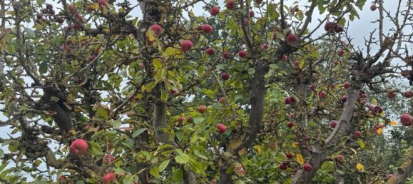 Grundstück in Bremen, Germany, Nr. 328153 12