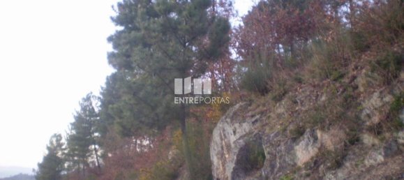 10090m² Land in Soalhaes, Portugal No. 57420 7