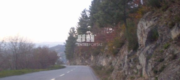 10090m² Land in Soalhaes, Portugal No. 57420 8