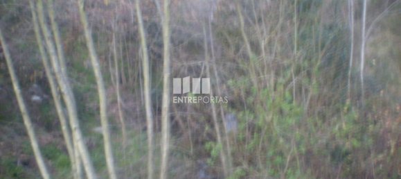 10090m² Land in Soalhaes, Portugal No. 57420 10