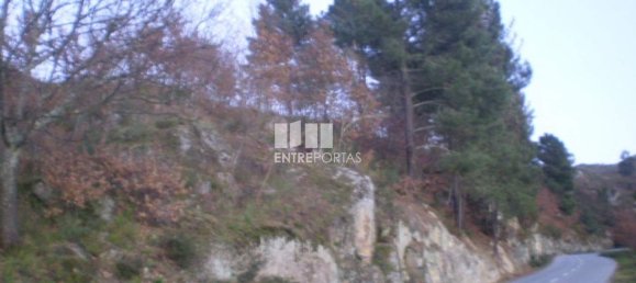 10090m² Land in Soalhaes, Portugal No. 57420 12