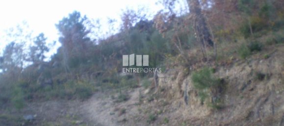 10090m² Land in Soalhaes, Portugal No. 57420 9