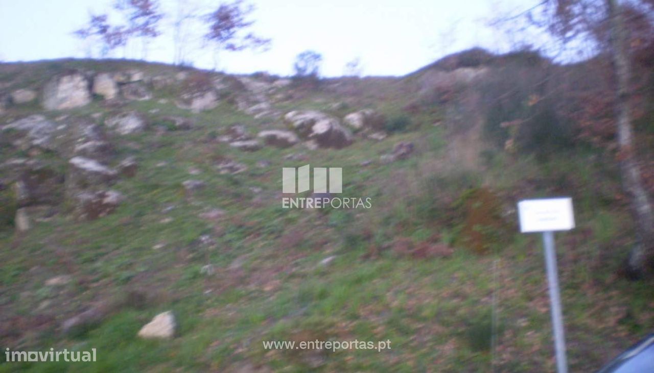 10090m² Land in Soalhaes, Portugal No. 57420