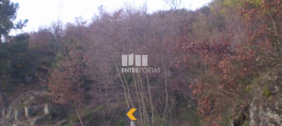 10090m² Land in Soalhaes, Portugal No. 57420 11