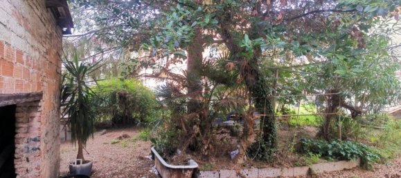 400m² Building in Pesaro, Italy No. 102916 5